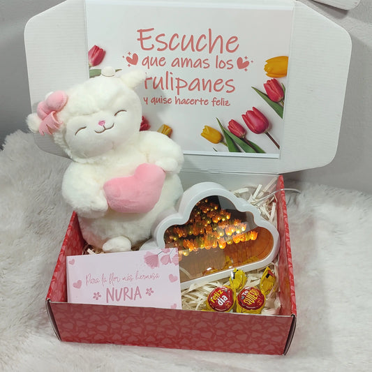 Box Lite Corderito tulipán + Lámpara nube tulipán