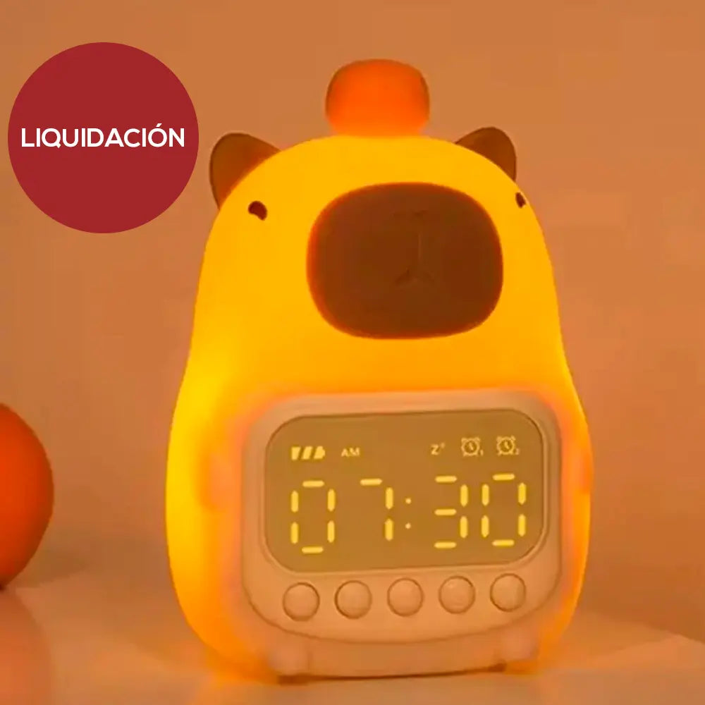 Liquidación de Lámpara de silicona