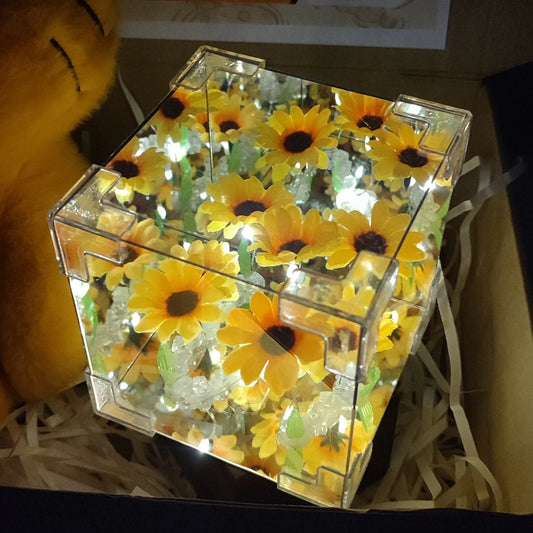 Box Garfiel BB