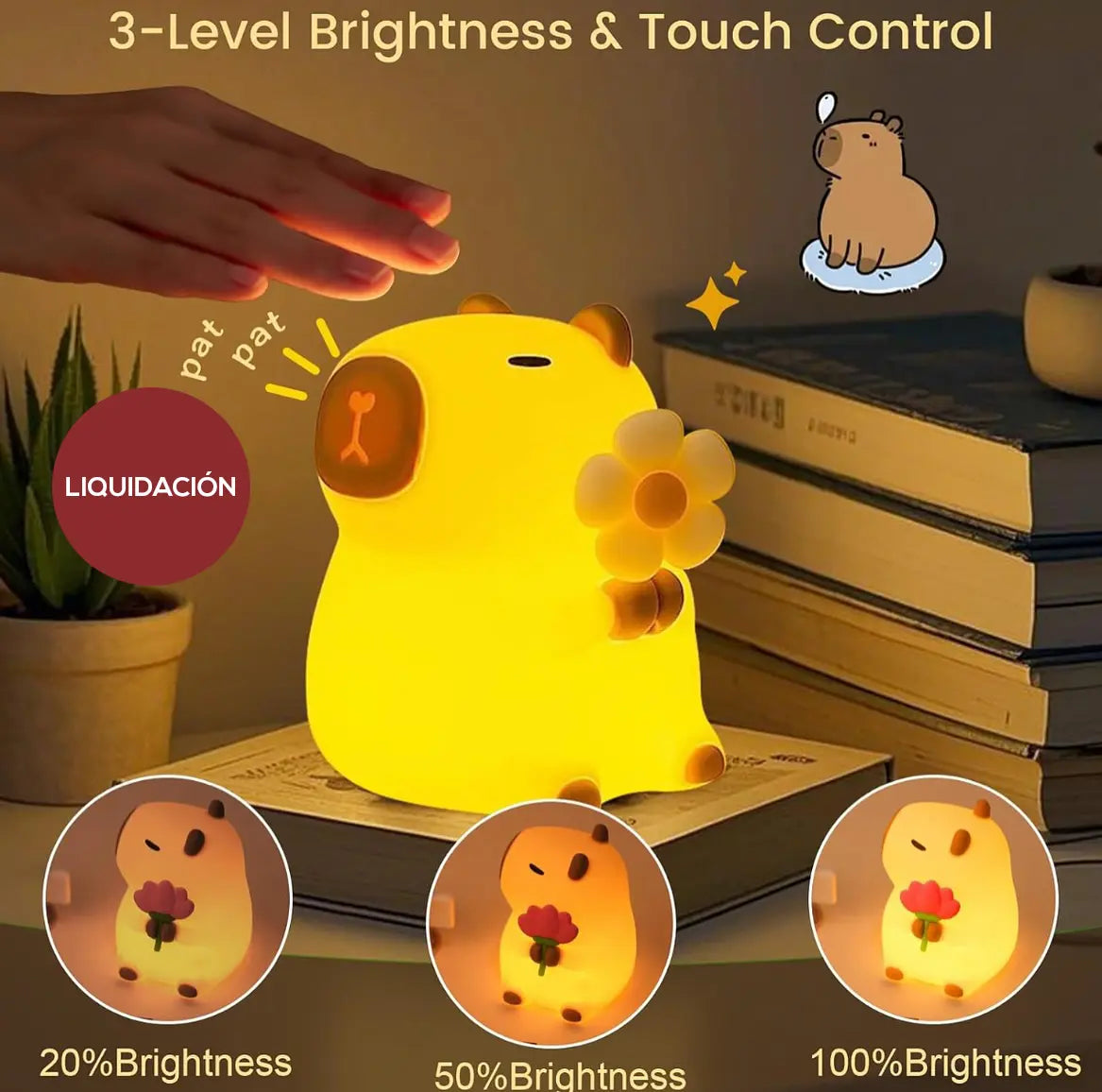 Liquidación de Lámpara de silicona